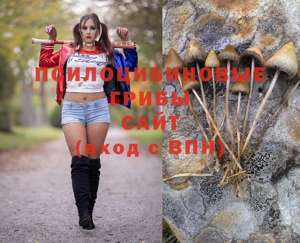 амф Баксан