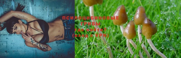 амф Баксан